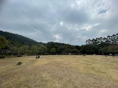 -火炉山森林公园