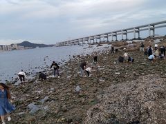 -黑石礁公园