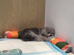 -四月宠物医院·猫专科·心脏专科·内科(转塘店)