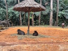 -广州长隆野生动物世界