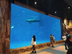 -华夏文旅海洋公园