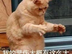 -罗森便利店(鱼市街店)