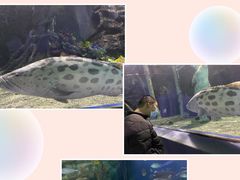 -太平洋海底世界