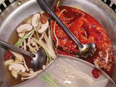 -辣伍鲜毛肚老火锅(元一店)