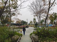 -南湖梦幻岛