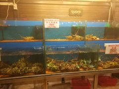 -真浪花园海鲜餐馆