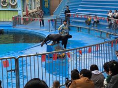 -华夏文旅海洋公园