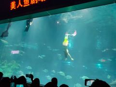 -福州罗源湾海洋世界旅游区