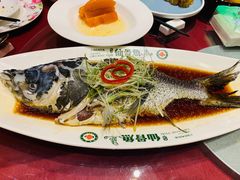 -沪碟·精菜坊(闵行店)