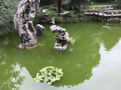东航云逸酒店-东航云逸酒店(九溪烟树店)