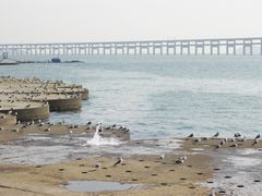 -星海广场