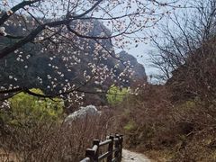 -双龙峡