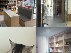 -艾贝尔宠物医院·24H转诊中心·肿瘤猫专科(江宁双龙店)