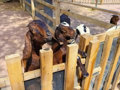 -水上乐园·欢乐世界