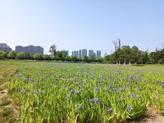 -汉长安城未央宫国家考古遗址公园