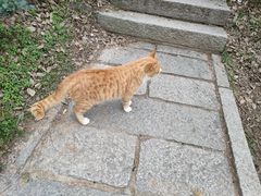 -贮水山儿童公园