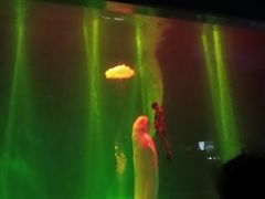 -芜湖新华联大白鲸海洋公园