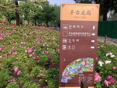 -丰台花园
