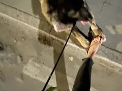 -东莞银行篮球中心