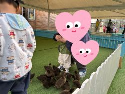 -萌宠亲子动物乐园(槐房万达店)