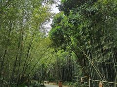 -开平碉楼文化旅游区马降龙景区