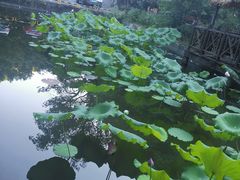 -天怡·鱼工厂(梅溪湖店)
