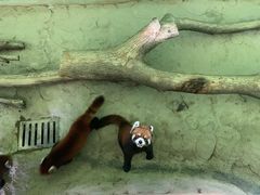 -杭州野生动物世界