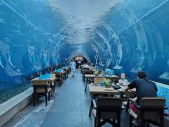 -海棠湾洲际-涛·海底餐厅·美人鱼·自助餐·海底隧道
