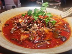 招牌毛血旺-映水芙蓉(上海万象城店)