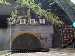 3G65-中国石化加油站(武隆服务区北侧站)