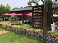 -田园东方蜜桃村的田野营地