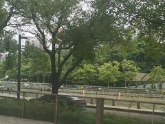 -昆山琶拉帝诗酒店·河畔咖啡厅Riverside Cafe