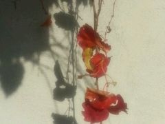 -象山森林公园