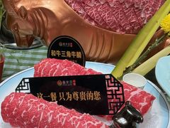 -番食园鲜食火锅(高新店)