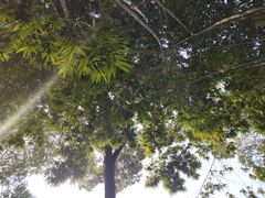 -望江楼公园