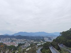 -福道