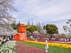 -苏州上方山国家森林公园