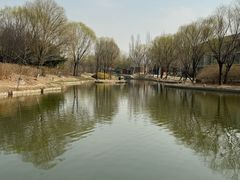 -东方苑自助餐厅(稻香湖景酒店)