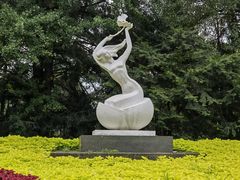 -杭州植物园
