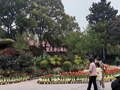 -南山植物园