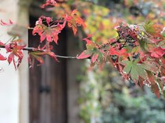 -秦园惠山豆腐花(惠山古镇店)