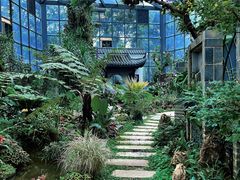-东莞植物园