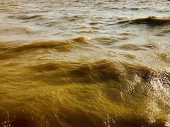 -洞里萨湖
