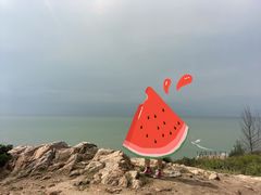 -广东惠东海龟国家级自然保护区