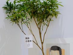 -虫二茶事(彭家巷店)