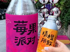 -巴公房子