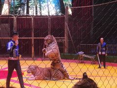 -西安秦岭野生动物园