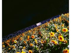 -云幽谷旅游区