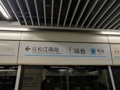 -陆家浜路(地铁站)