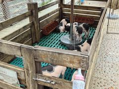 -珠海海泉湾神秘岛亲子乐园